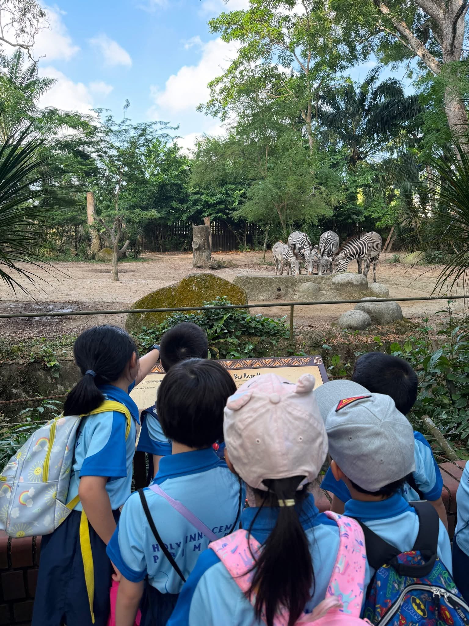 P1 Learning Journey